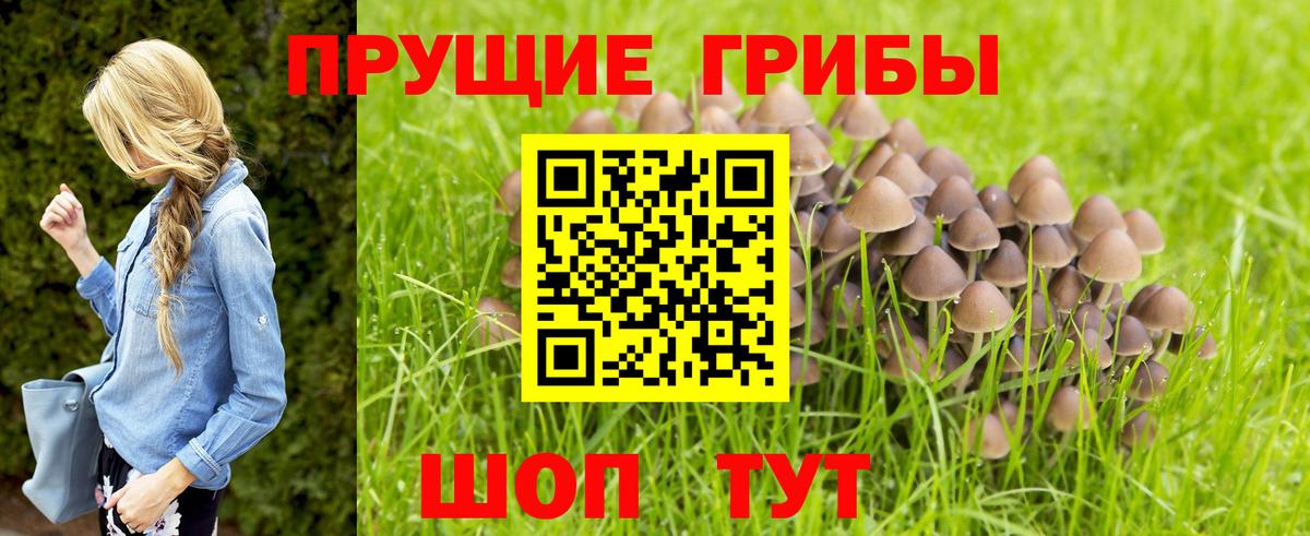 Костомукша  Галлюциногенные грибы GOLDEN TEACHER  сколько стоит  Вход с VPN 